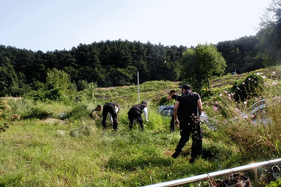 59d72063f83bd9655a556f3cc0a4976a_1442199963_27.gif