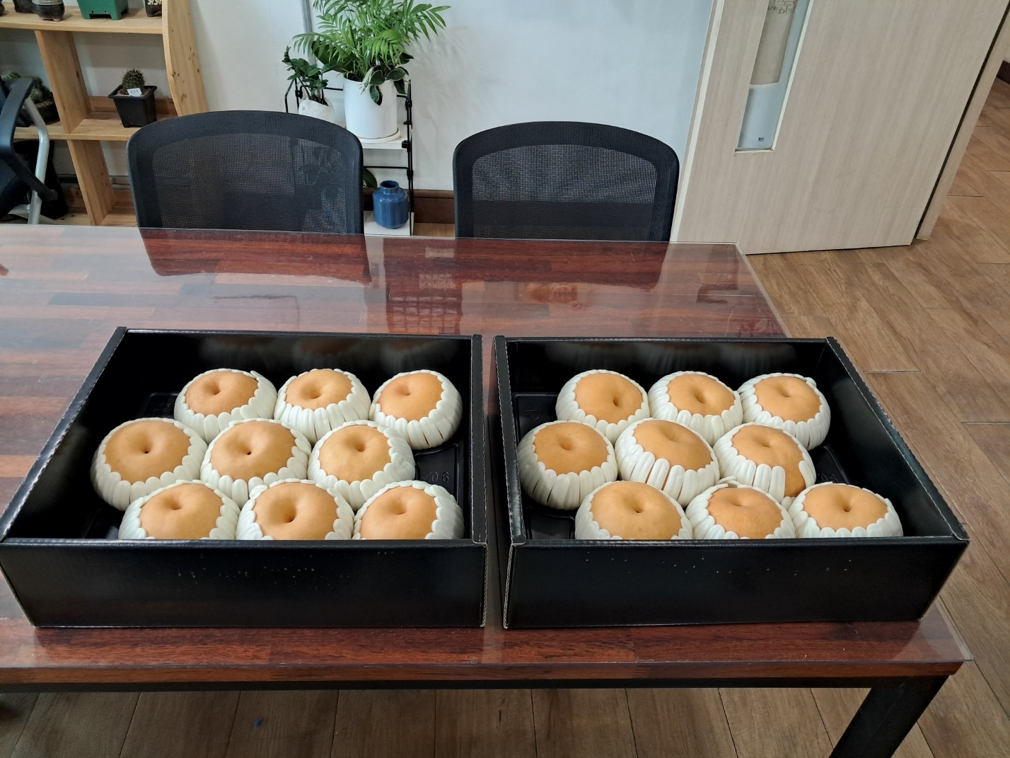 29b239805a6580320b2ceef59f82583e_1772581302_0416.jpg 29b239805a6580320b2ceef59f82583e_1772581302_0416.jpg