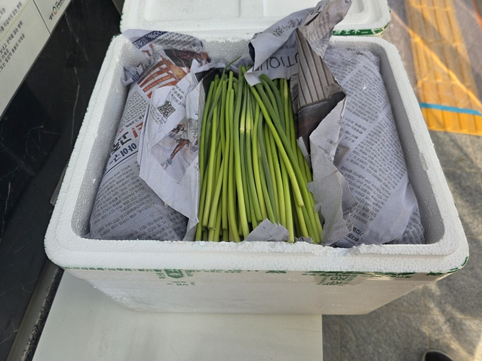 b0d0a987797d0762cc2eaa53d98e16b6_1780362640_6383.jpg