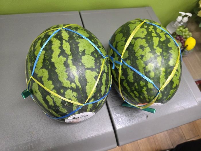 55dd40b1160d6c653d0d2a26f3590657_1783300813_6288.jpg
